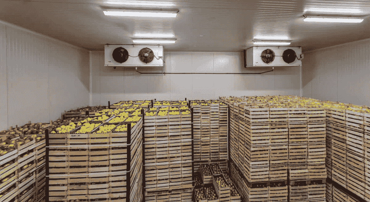 Cold Storage Facilities