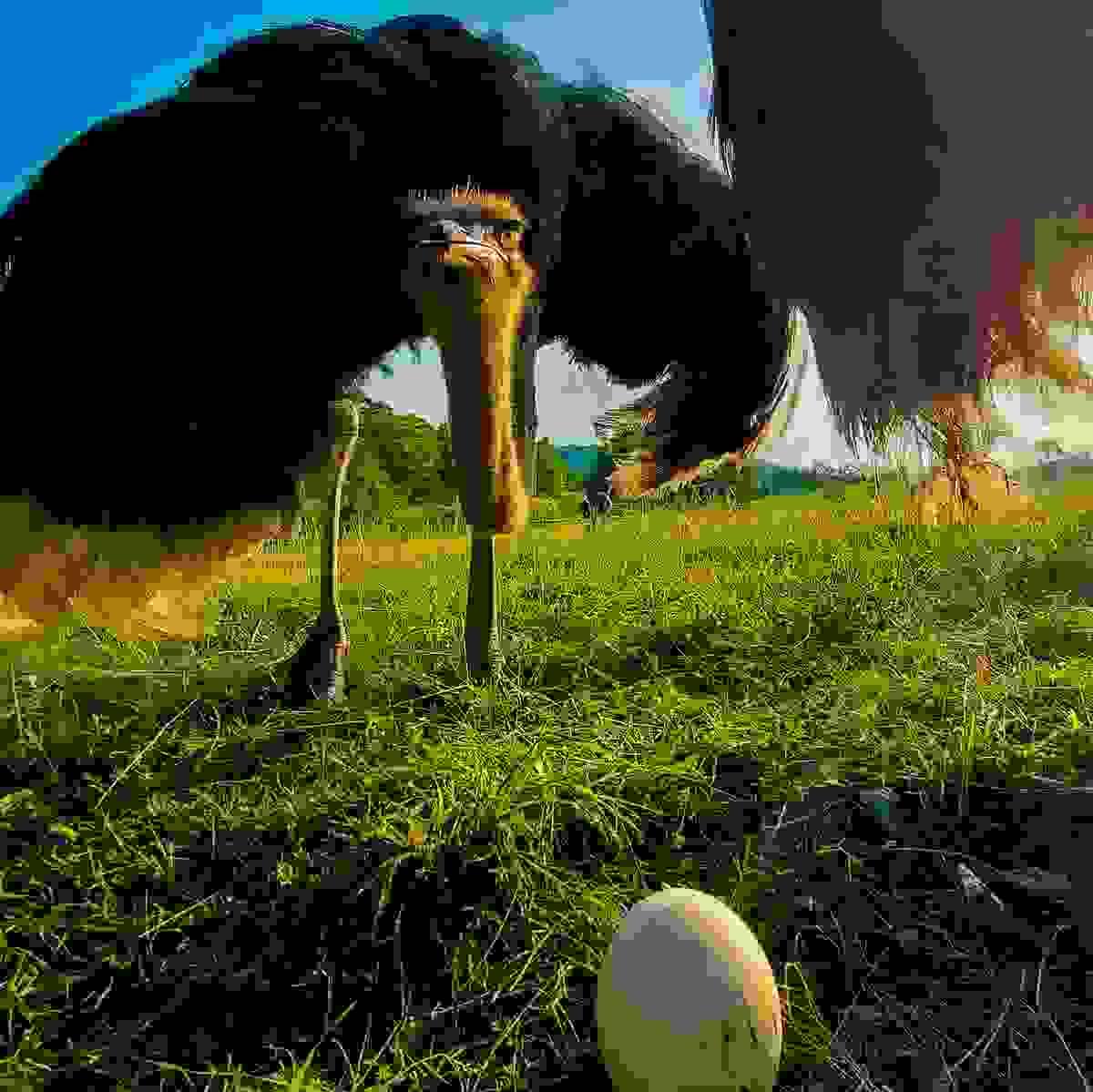 broken image