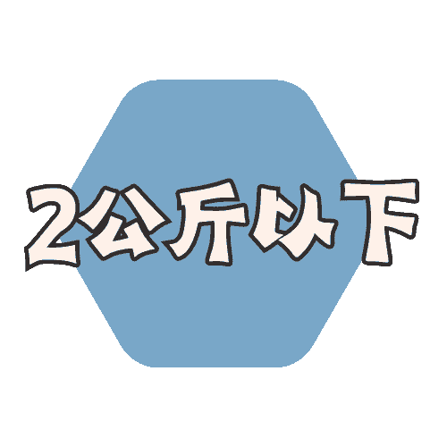２公斤以下「定位模式」