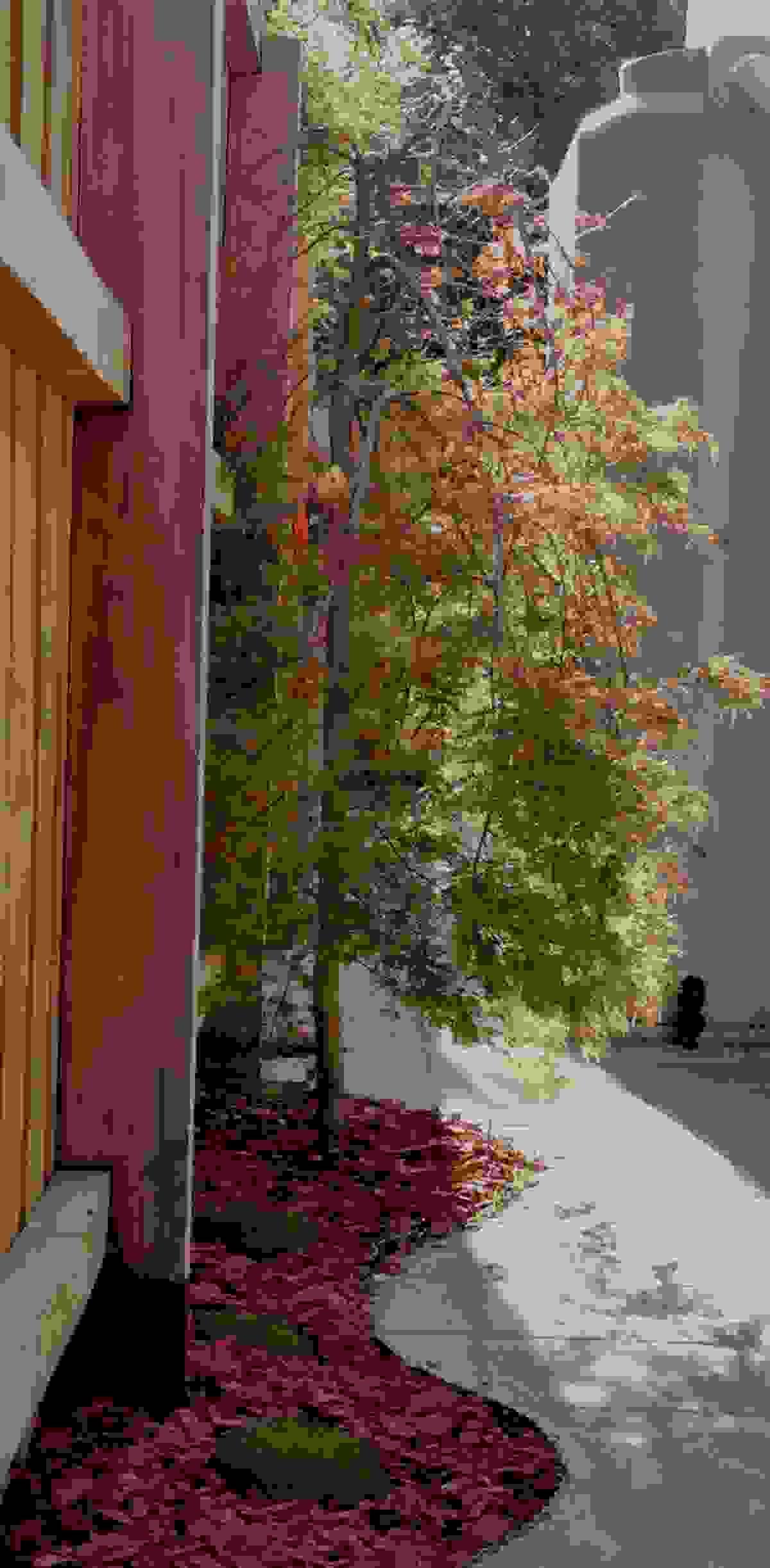 broken image