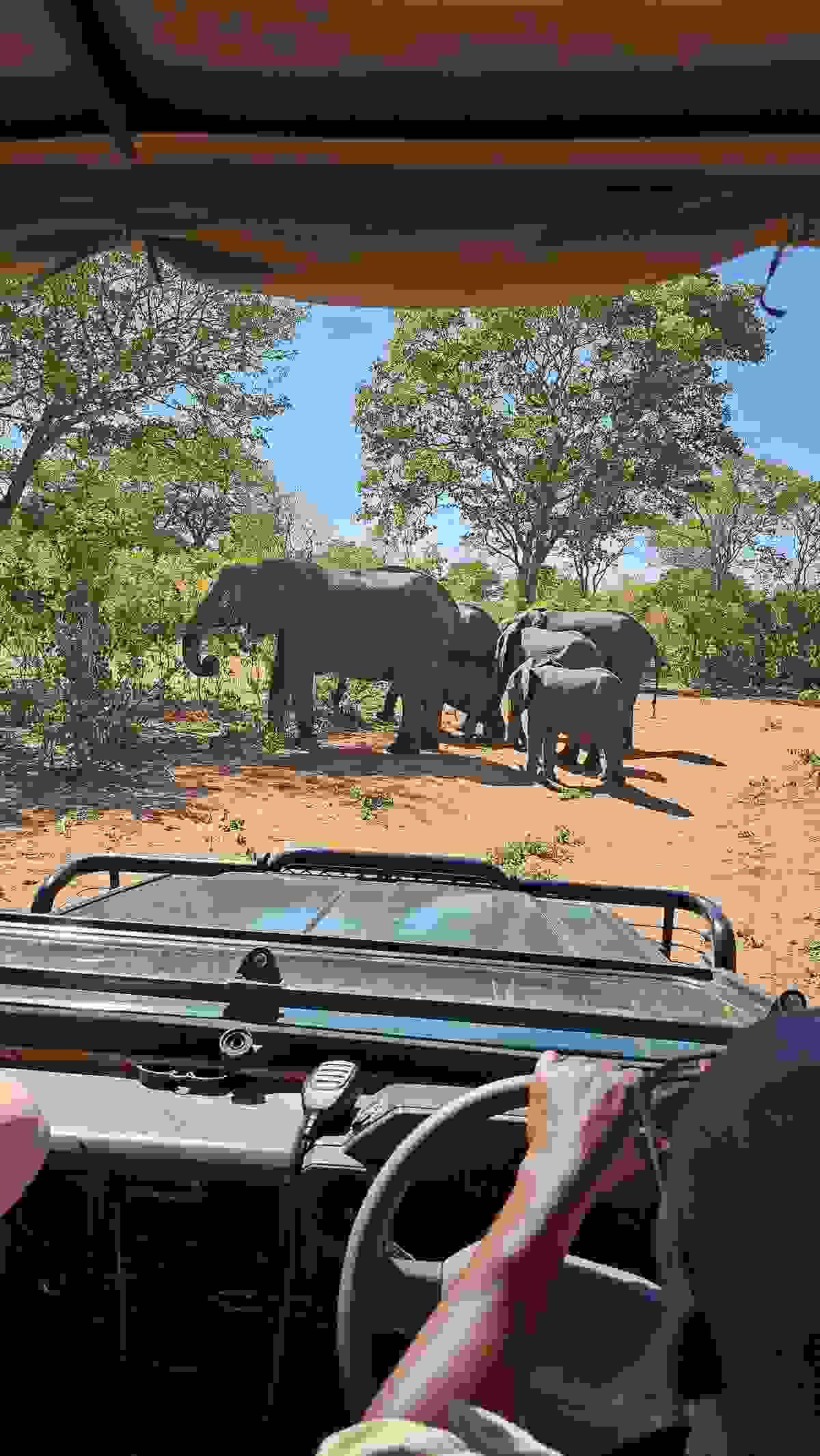 Section image