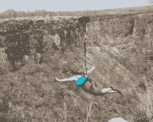 Section image