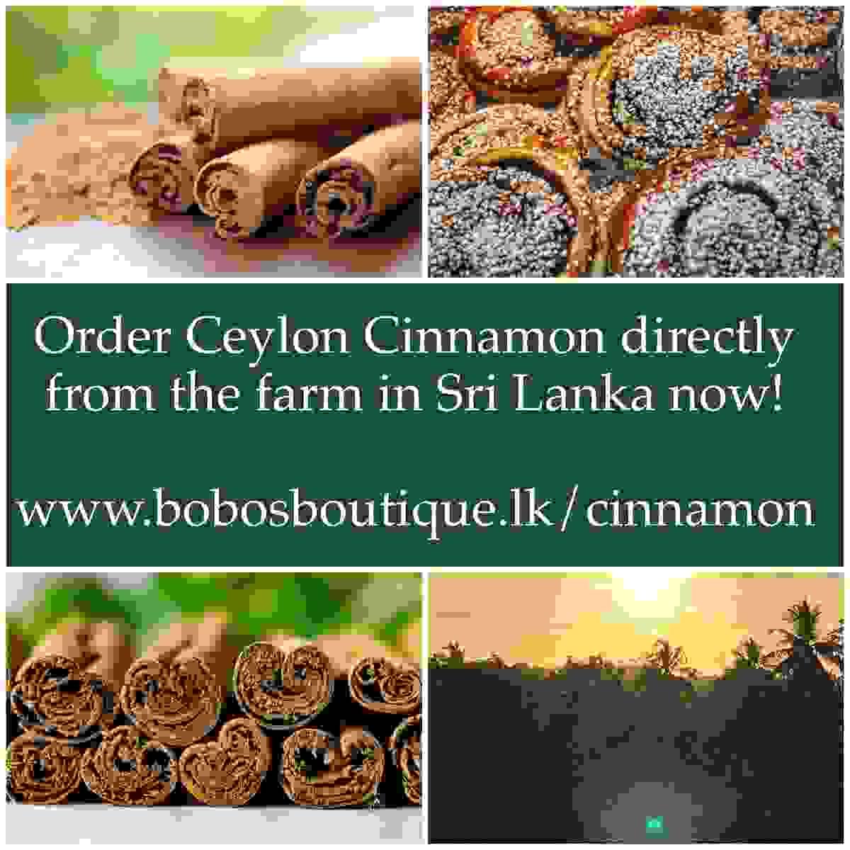 ceylon-cinnamon-srilanka