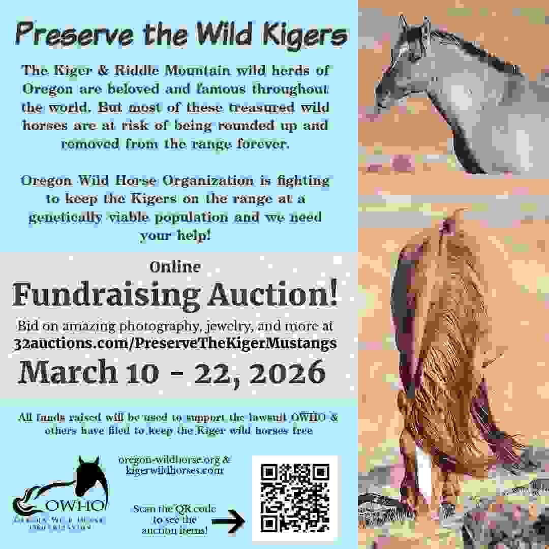 Join our mission to protect these incredible animals and their ecosystem Support the Preservation of Kiger Wild Horses Preservation and protection of the kiger wild horses, their habitat and their genetic viability within the Kiger and Riddle Mountain Horse Management Areas in Oregon. Join our mission to protect these incredible animals and their ecosystem Support the Preservation of Kiger Wild Horses Preservation and protection of the kiger wild horses, their habitat and their genetic viability within the Kiger and Riddle Mountain Horse Management Areas in Oregon.