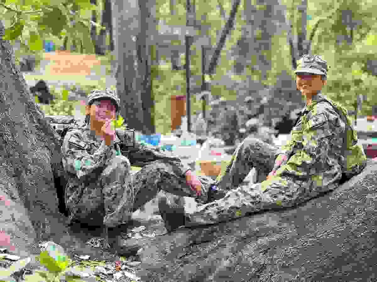 Section image