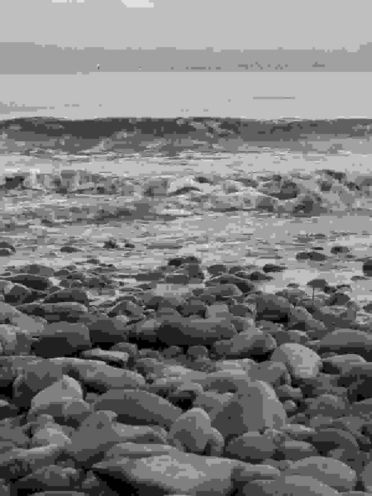 Section image