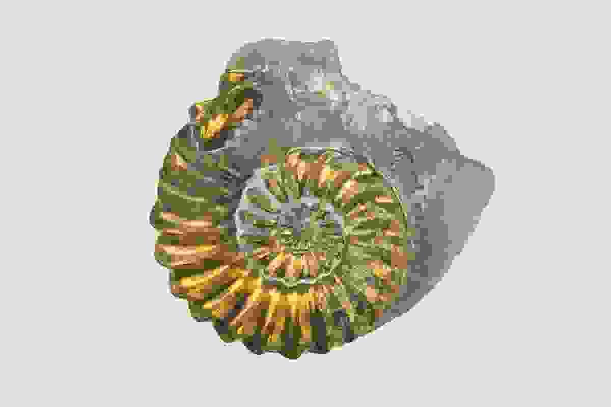 Section image