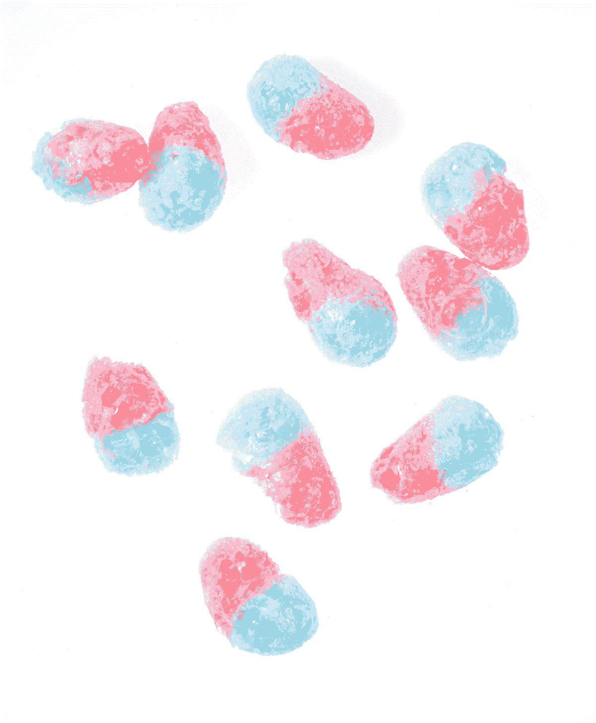 Explore unique treats at our freeze dried candy shop.