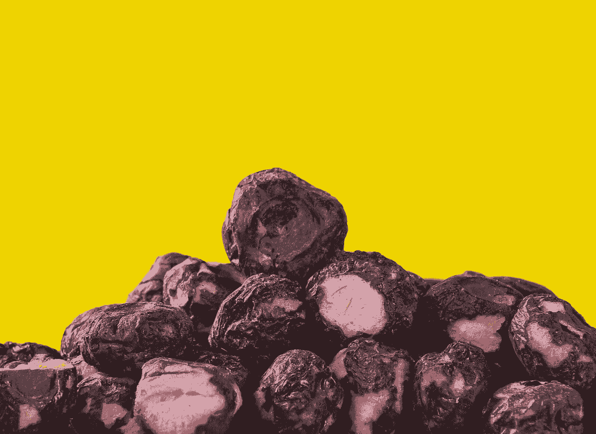 Delicious dishes made with freeze dried blueberry showcasing versatility.