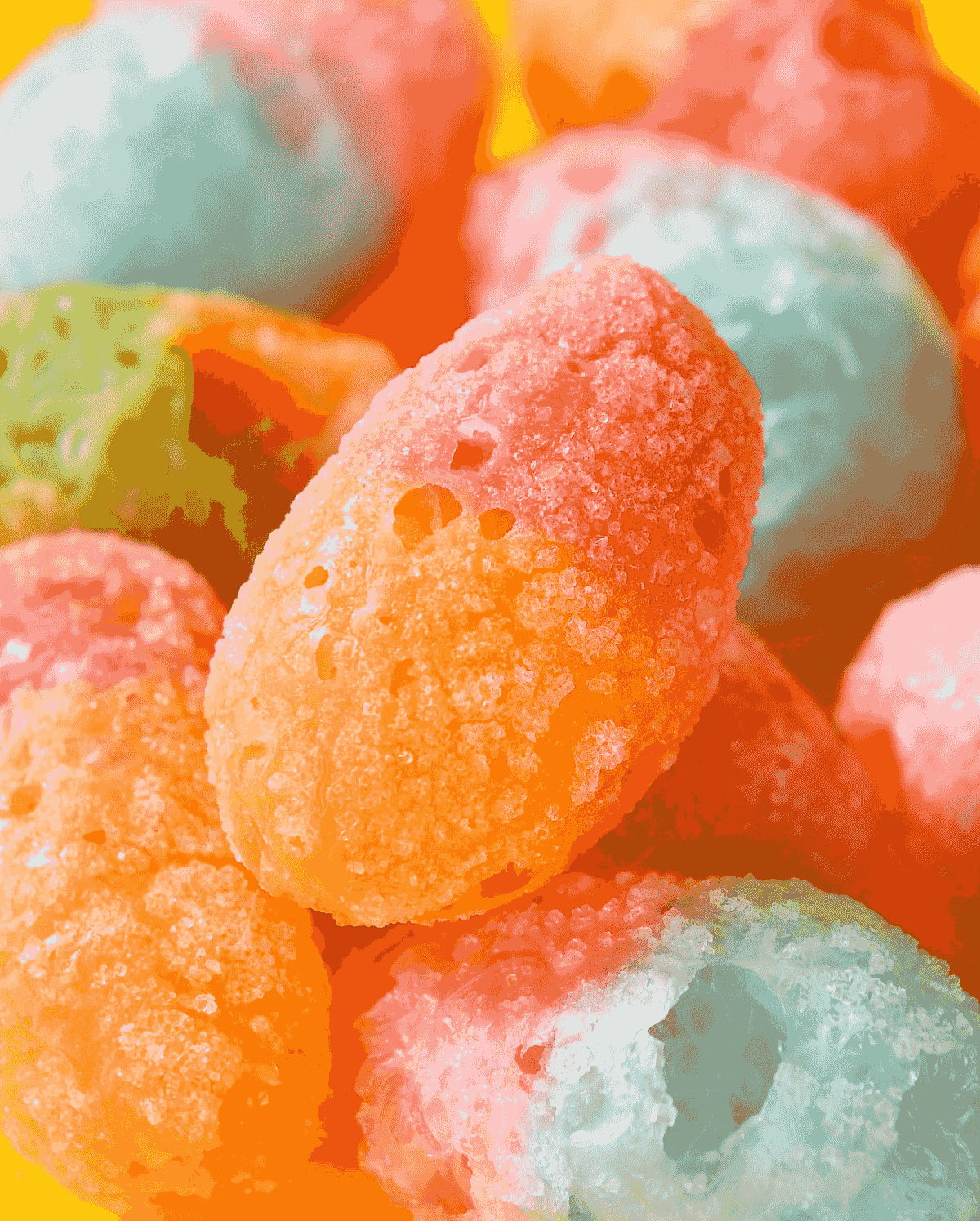 Explore unique treats at our freeze dried candy shop today