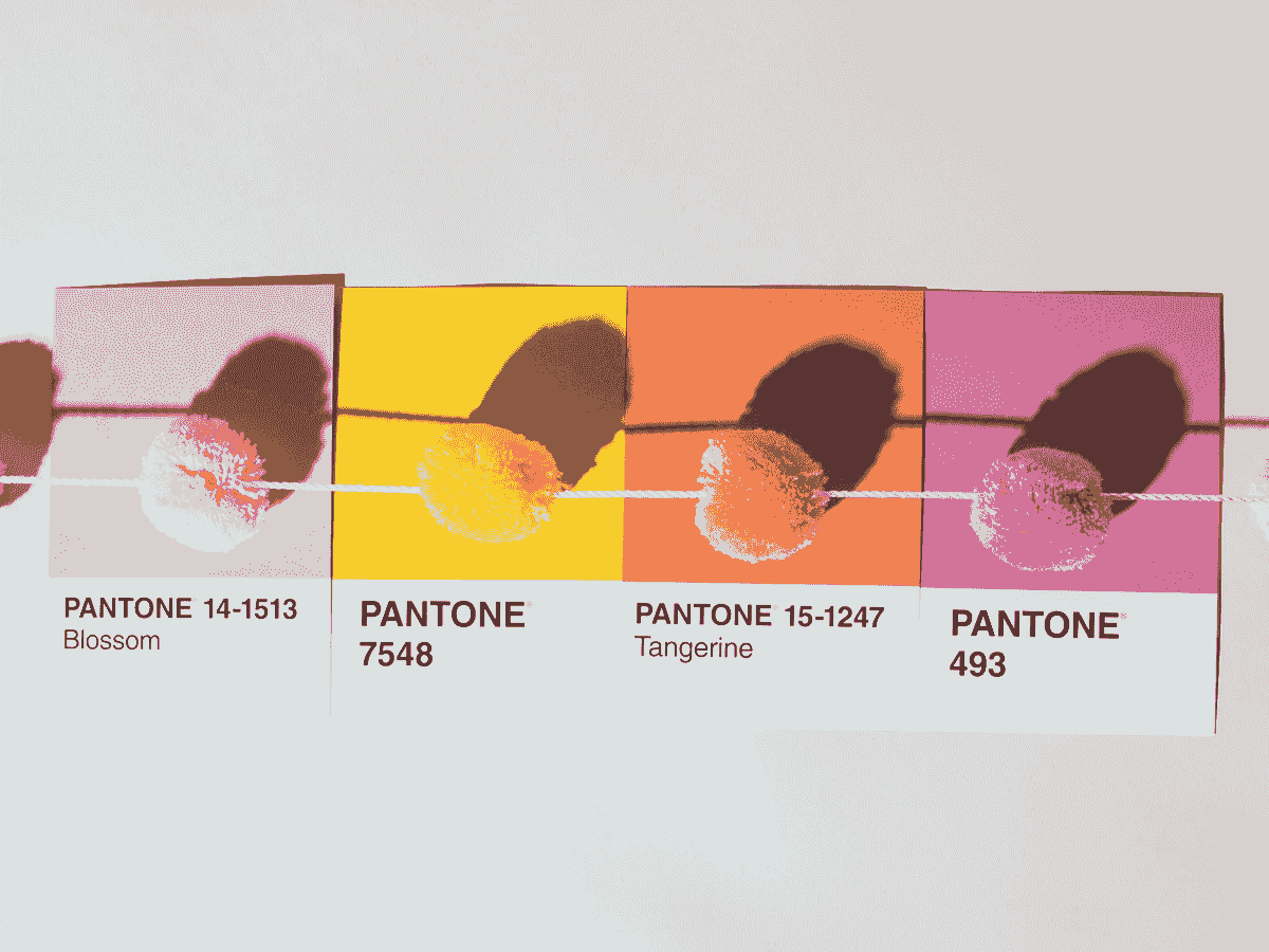 What are Pantone Colors and How Do We Use Them?