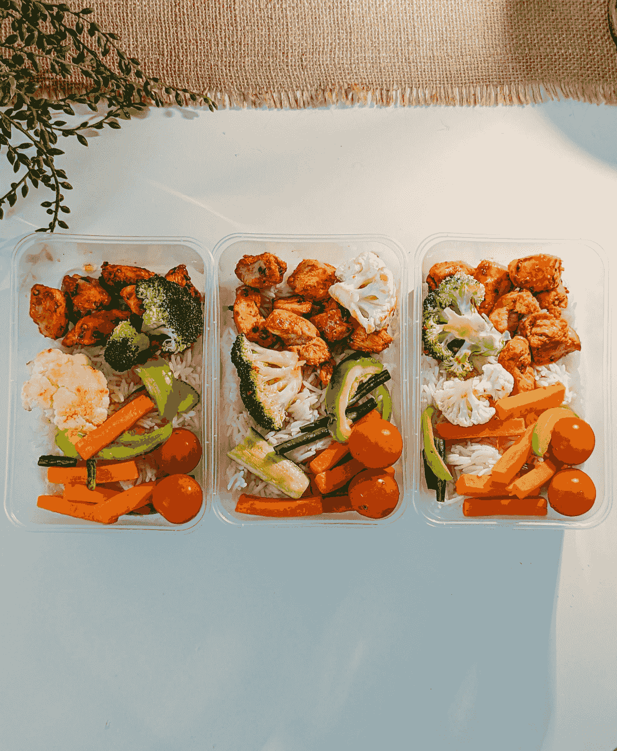 Assorted take home food containers showcasing versatility