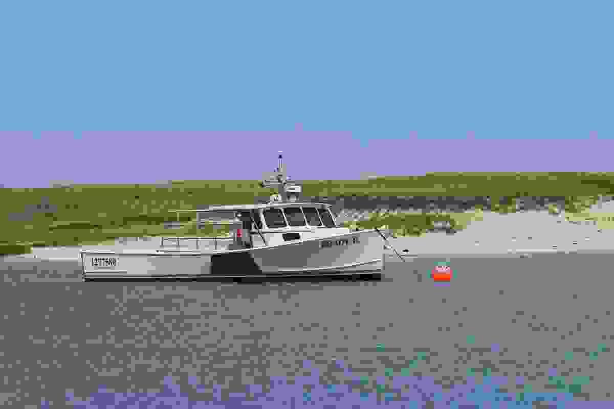 avalon boat reviews showcase performance differences between brands