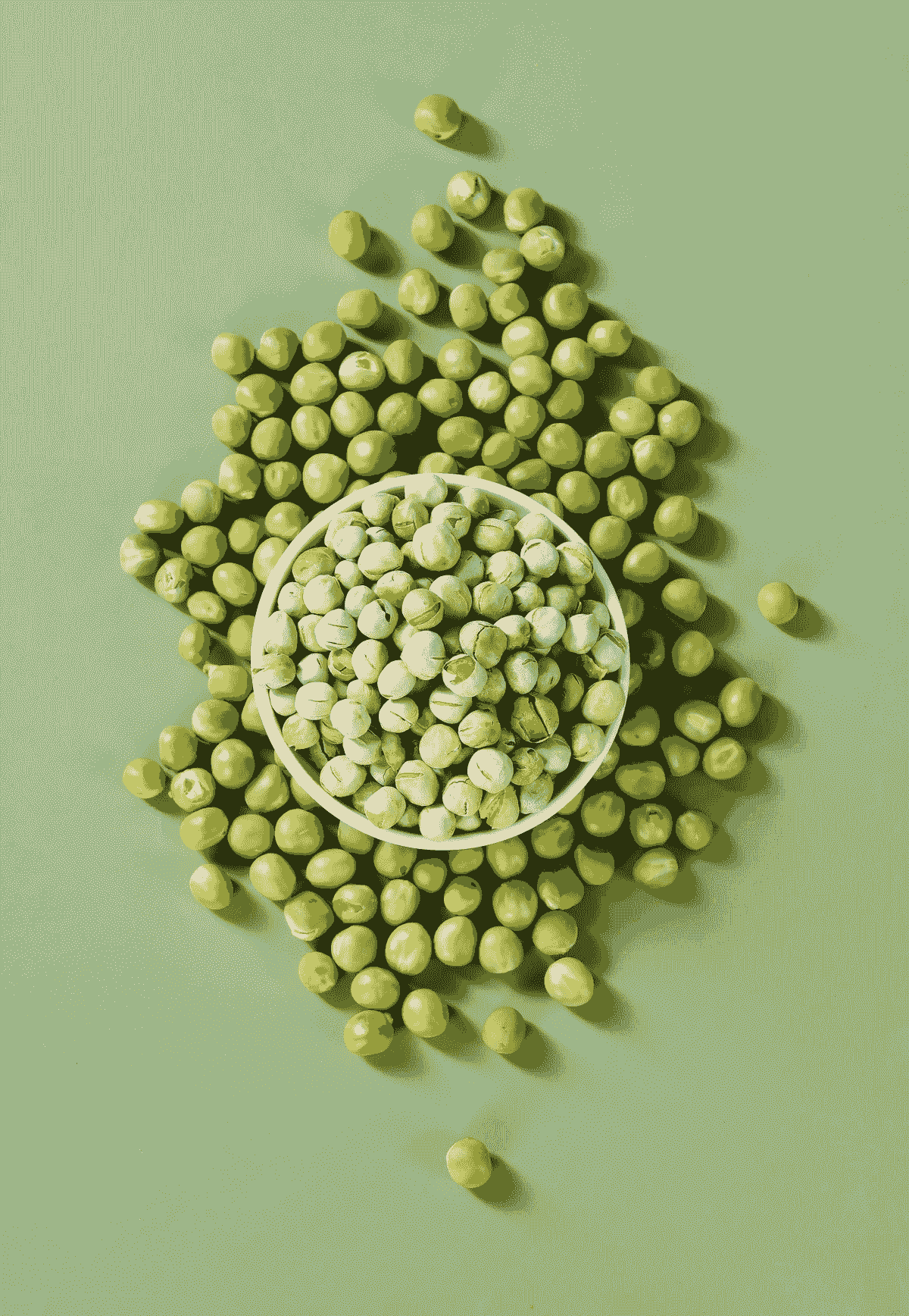 freeze dried vegetable suppliers provide diverse options including green beans