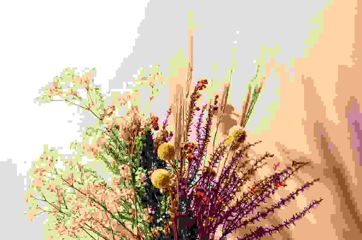 spiritual meaning of dried flowers depicted through preserved blooms