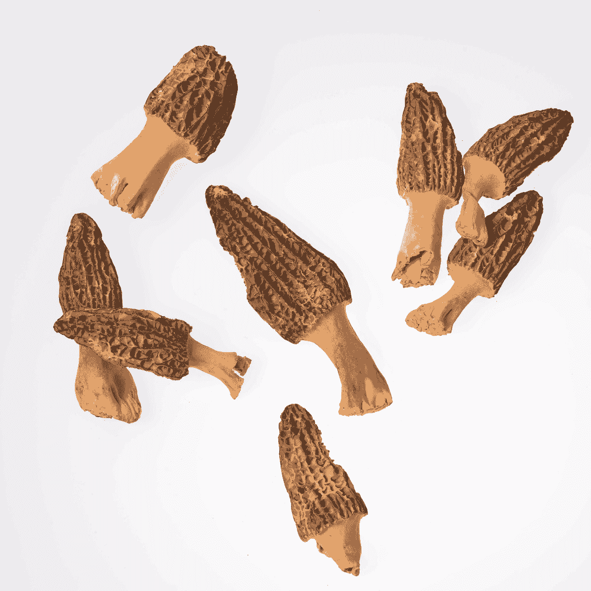 freeze dried vegetable suppliers provide vibrant options for healthy snacks.