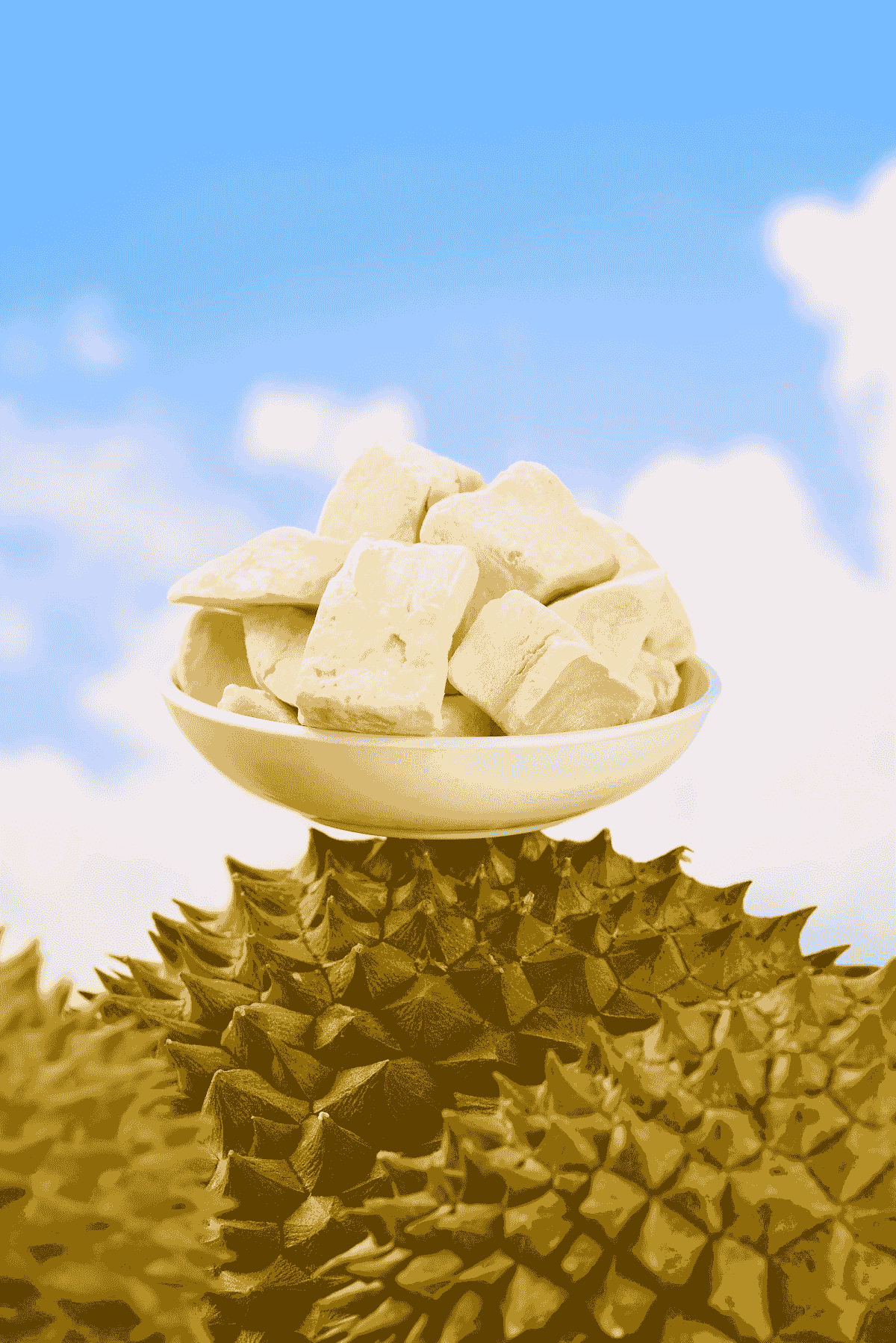 Delicious dishes made with freeze dried durian showcasing its versatility.