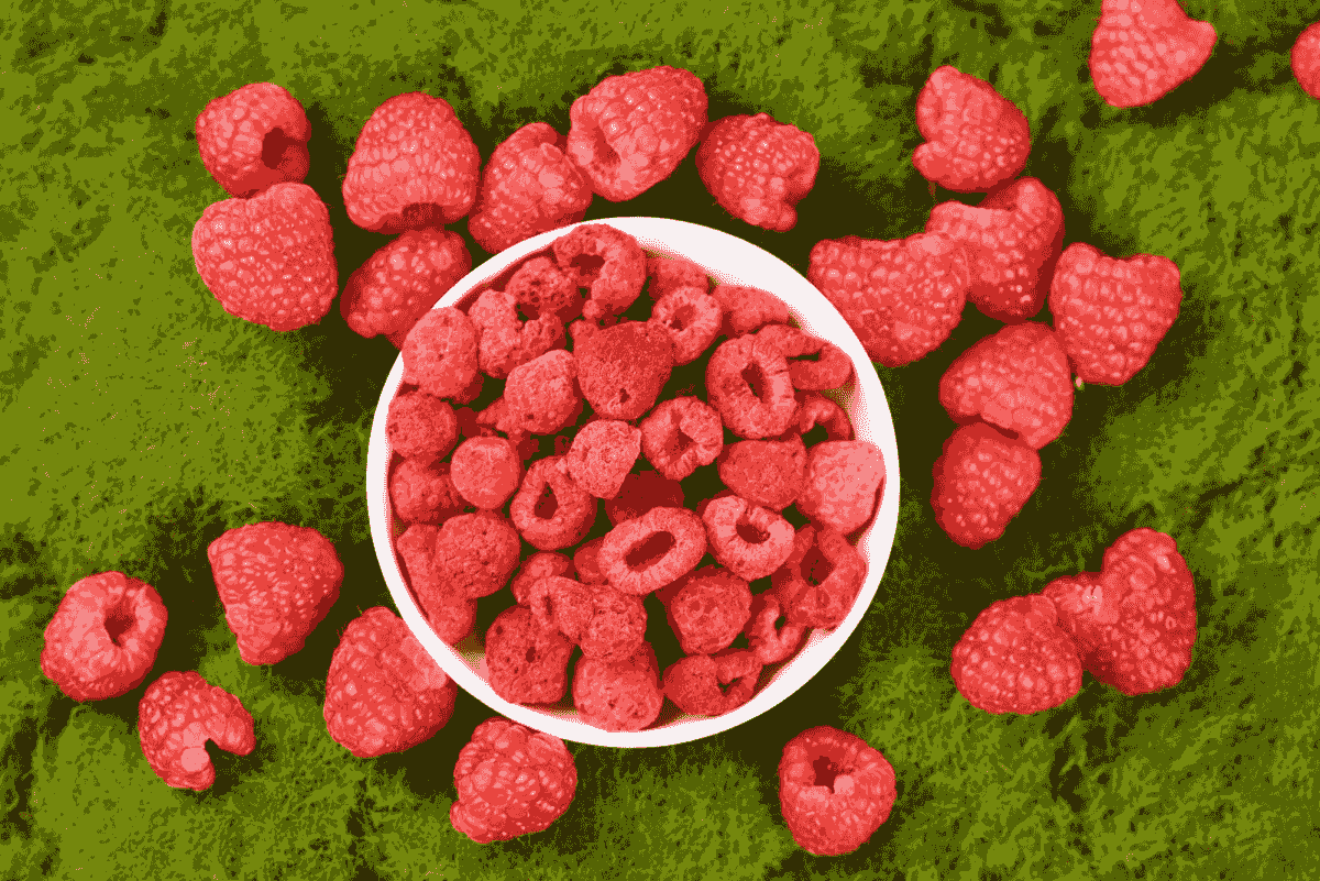 freeze dried raspberry options available at supermarkets
