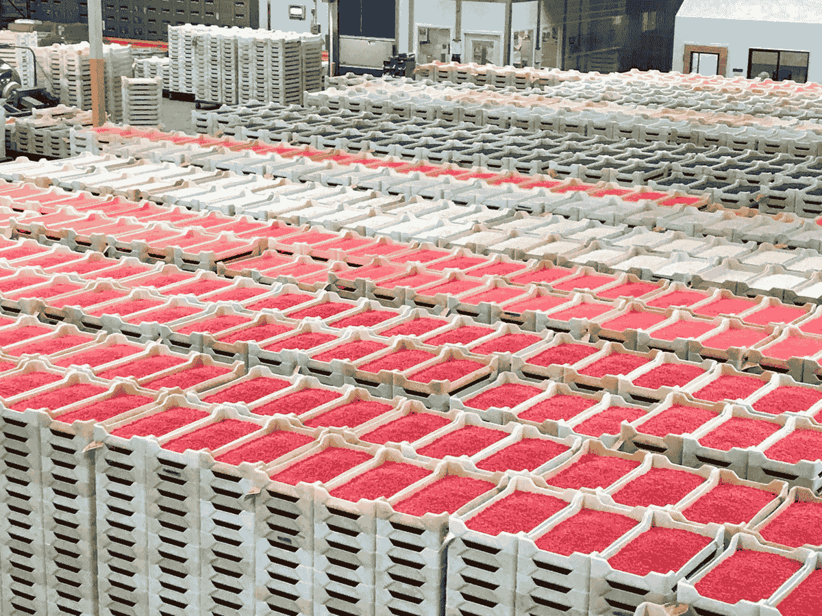 What Are the Different Types of Inspection in Quality Control?