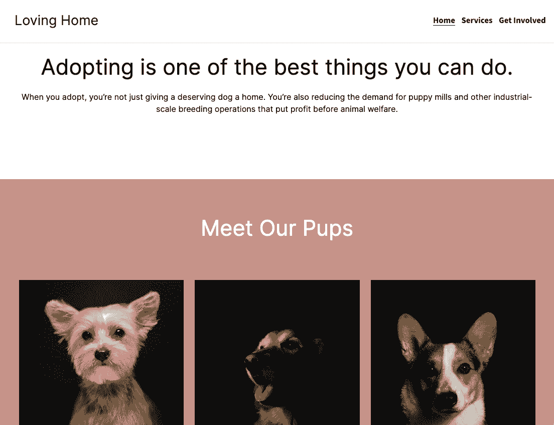 designing a homepage for a nonprofit with impactful storytelling