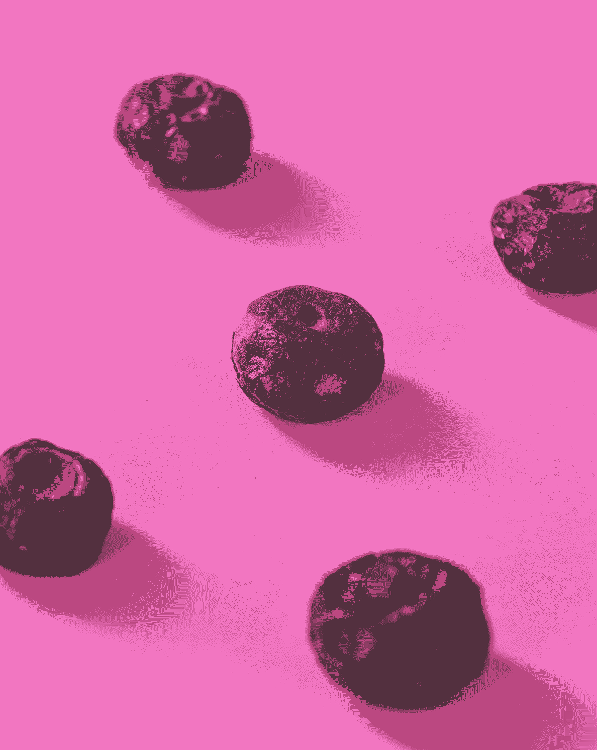 freshly harvested freeze dried blueberry snacks