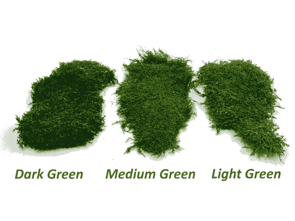 Vibrant SuperMoss Bulk Preserved Moss Wholesale Display