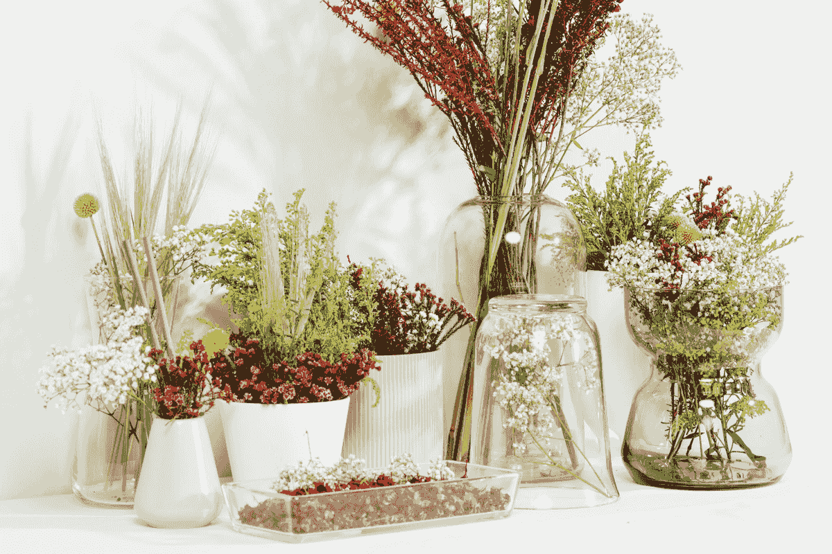 Where to get dried flowers online