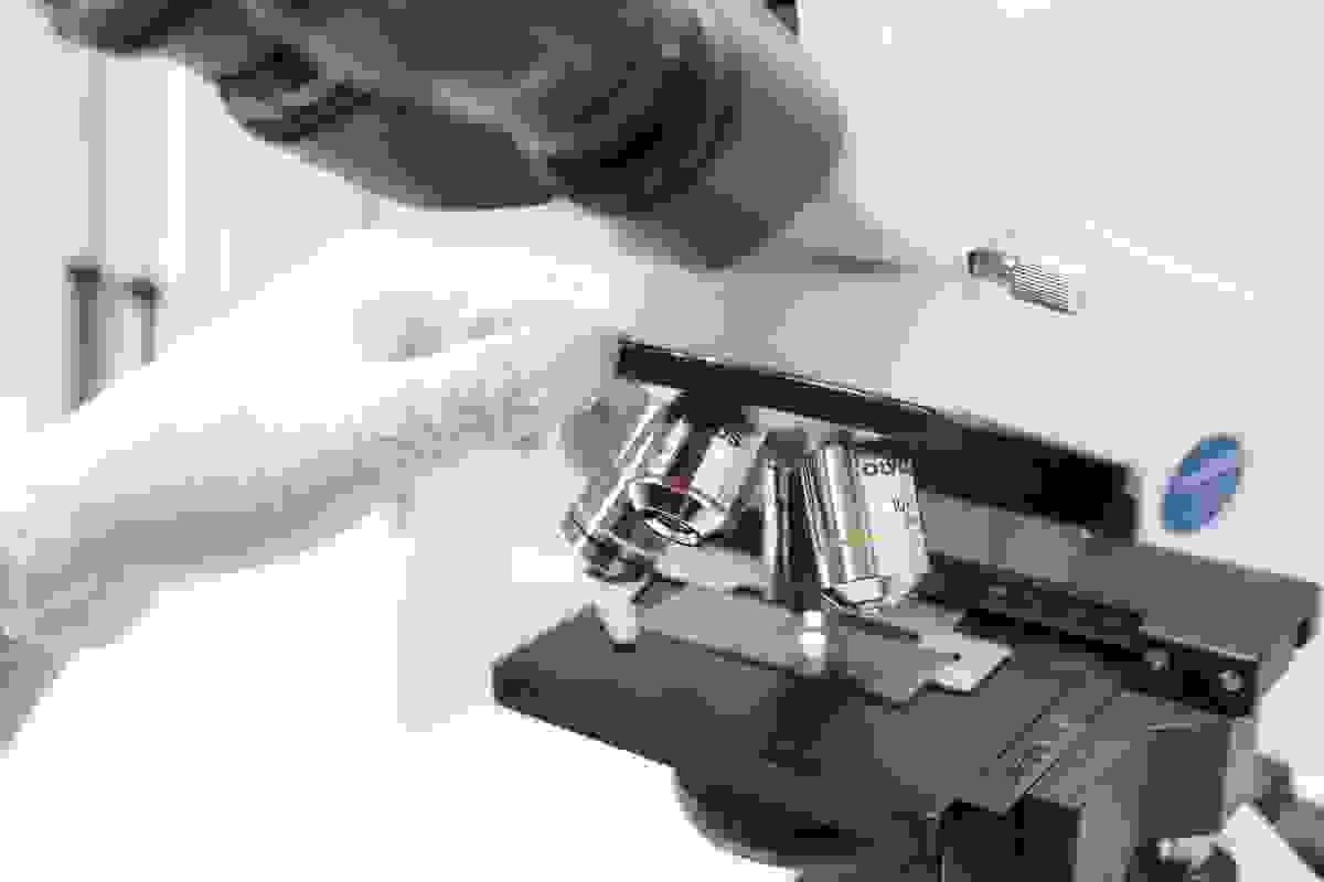 LFGB Test certification on general plastic products