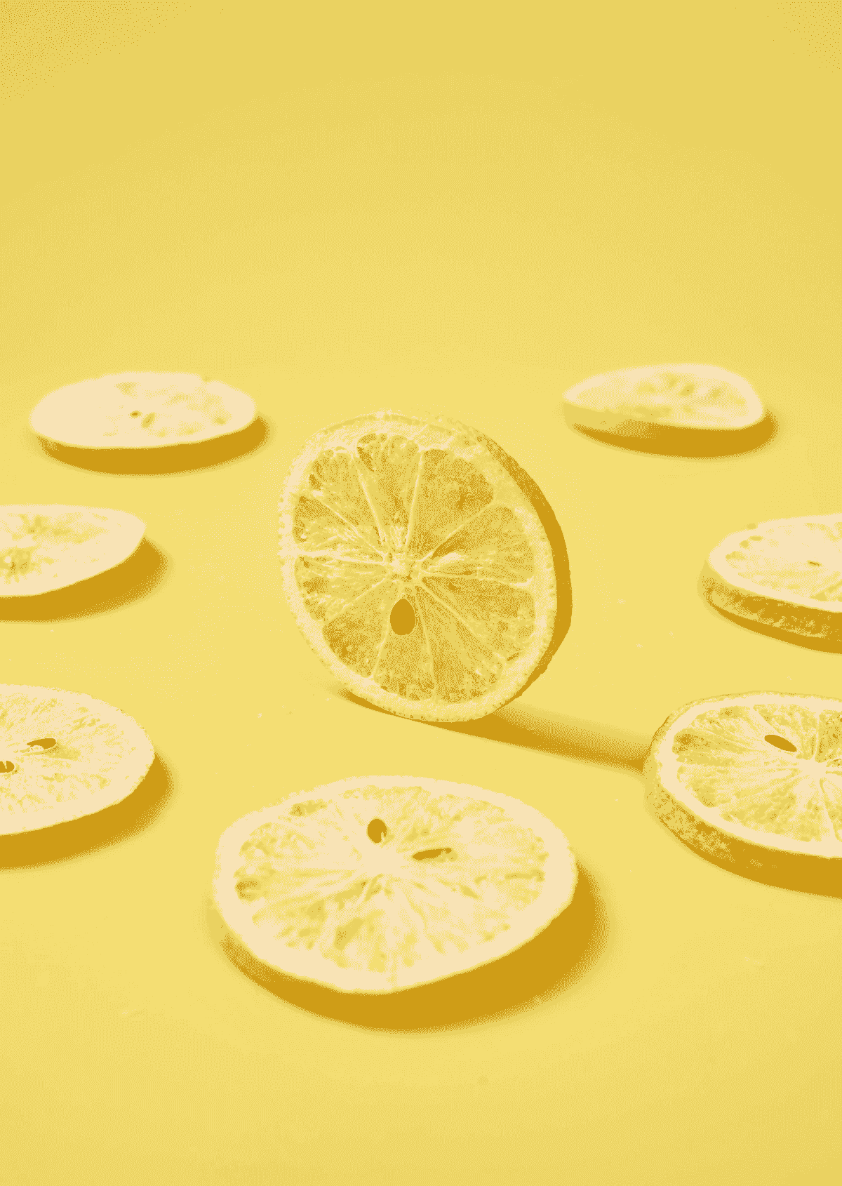 freshly packaged freeze dried lemon slices ready for snacking