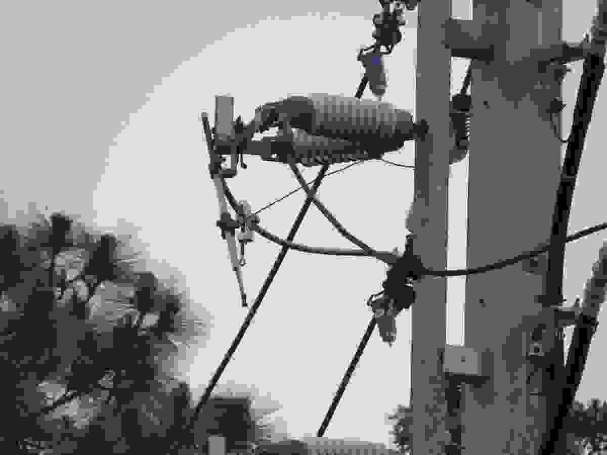Secondary clevis from china clevis manufacturer enhancing power line installations.