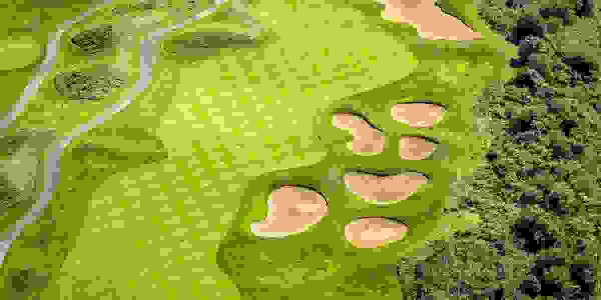 broken image