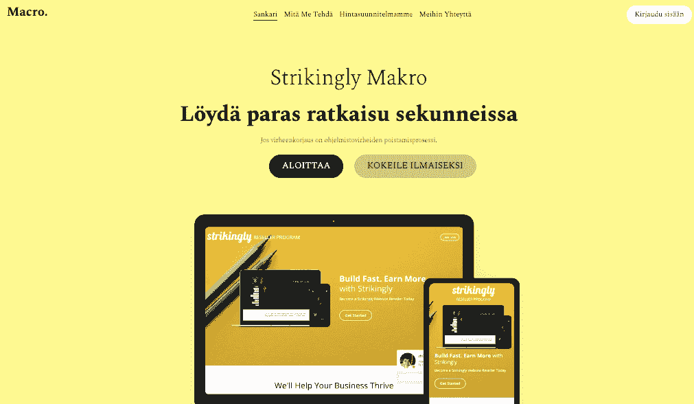 Makromalli Strikinglyltä