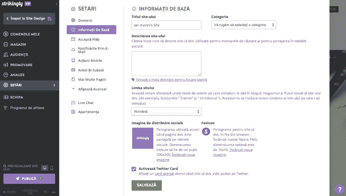 Audit site-uri - Titluri și metadescrieri