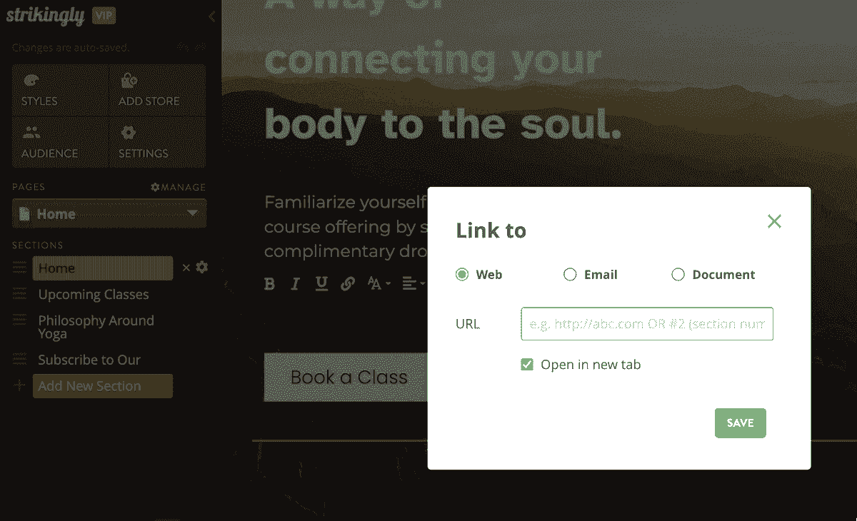 Exploitation des fonctionnalités de Strikingly pour les liens d'ancrage