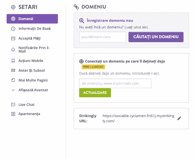 Fereastra de personalizare a URL-ului site-ului Strikingly
