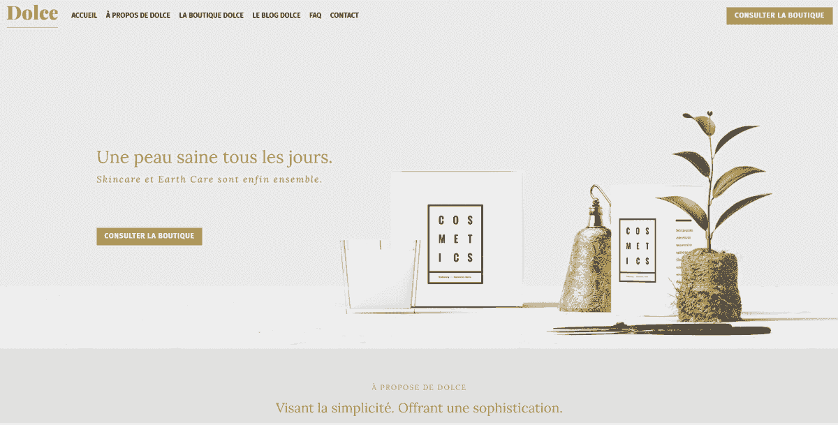 Stratégies de marketing