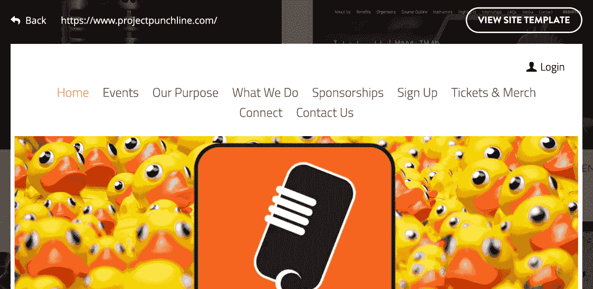 Adresa URL a site-ului Project Punchline
