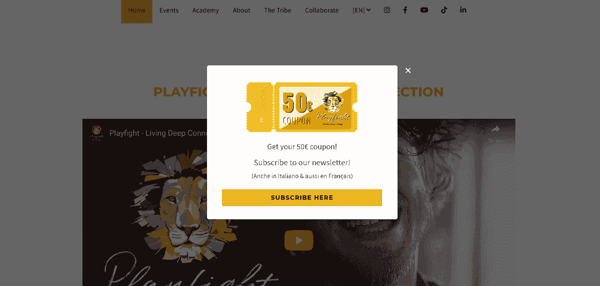 Desain pop-up Playfight