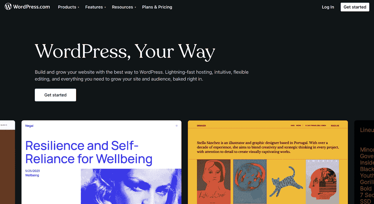Constructeur de Pages d'Atterrissage WordPress