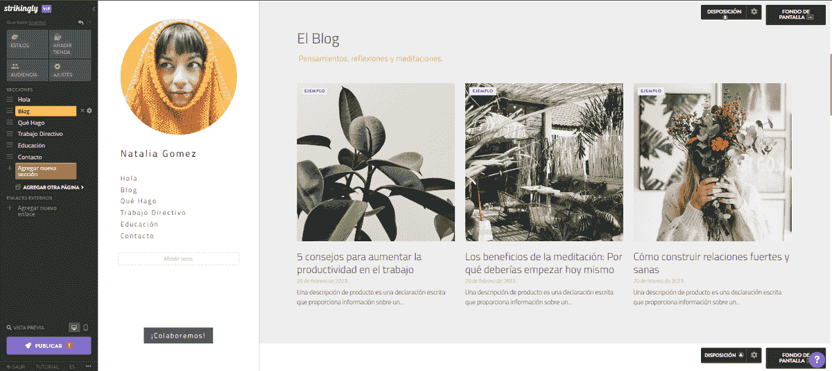 ¿Cómo puede Strikingly ayudar con el marketing en redes sociales? Integración de blogs