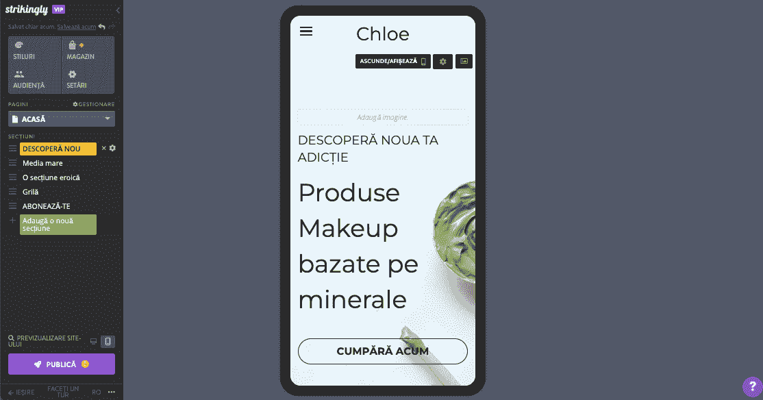 Audit site - Optimizare mobil