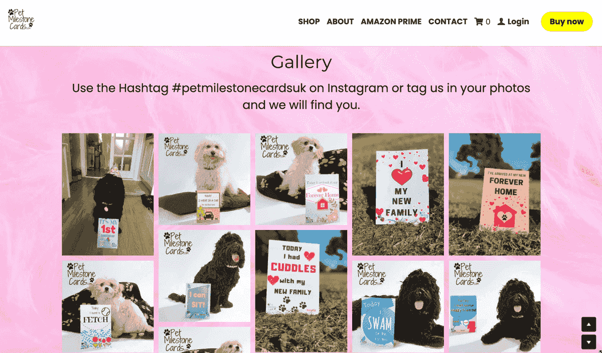 Tarjetas de hitos para mascotas: campaña en redes sociales
