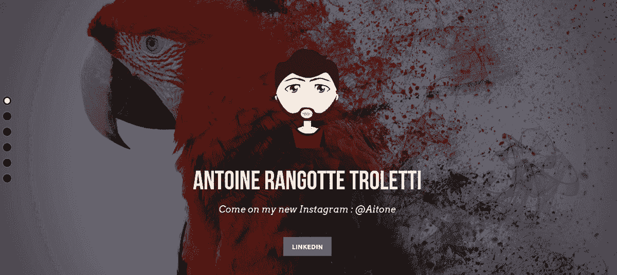 Webdesignportfolio-idee van een opvallende gebruiker - Antoinert