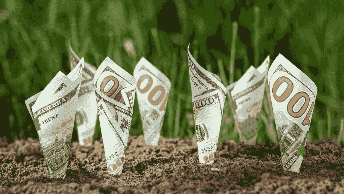 Passief inkomen voor beginners: 10 eenvoudige manieren om geld te verdienen
