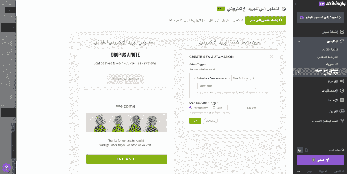 نصيحة لزيادة مبيعات التجارة الإلكترونية - تنفيذ التسويق عبر البريد الإلكتروني