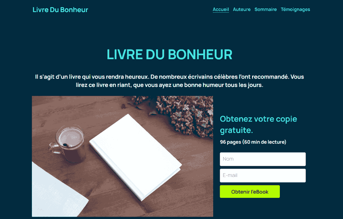 Qu'est-ce que les biens numériques ?