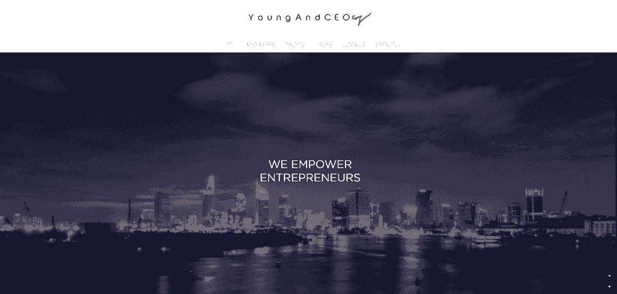 Exemple de microîntreprinderi precum Young and CEO
