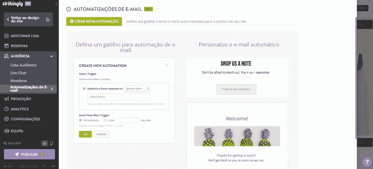 Use técnicas de marketing por e-mail para vender produtos digitais