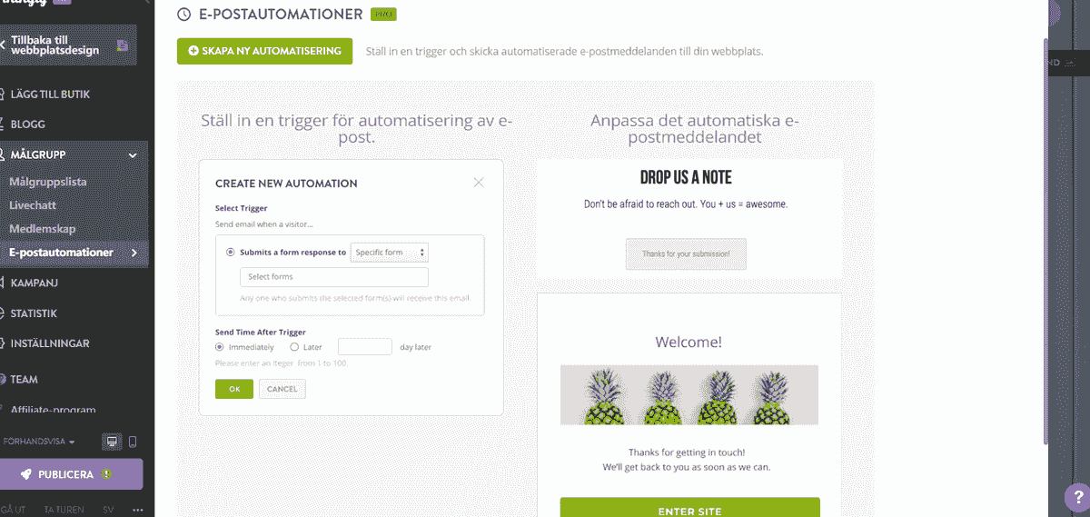 Hur Man Använder Strikingly För Att Hantera Emailkampanjer?
