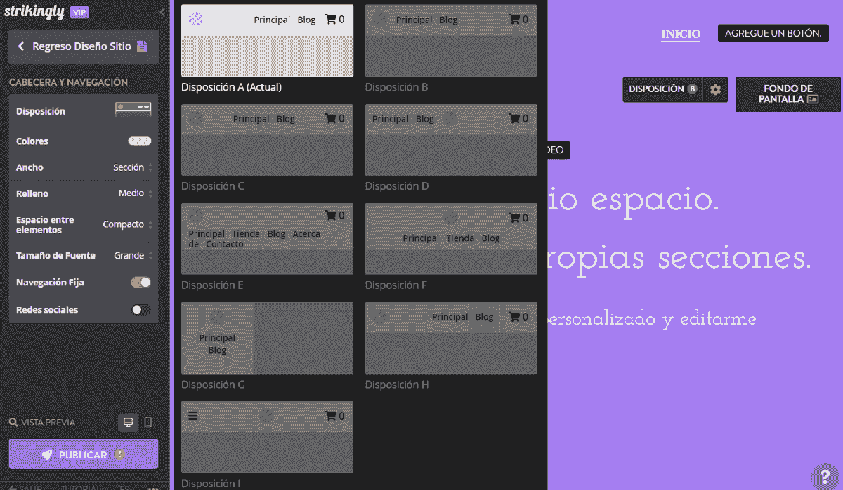 Editor del sitio web de Strikingly